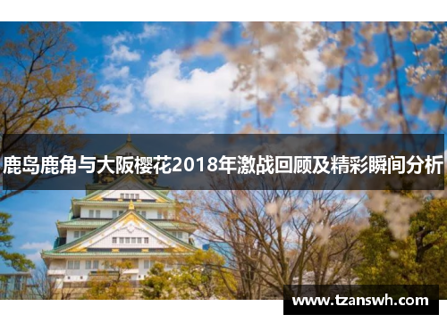 鹿岛鹿角与大阪樱花2018年激战回顾及精彩瞬间分析